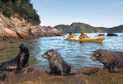 Nouvelle-Zlande - Abel Tasman National Park - Abel Tasman en kayak - merveilles naturelles