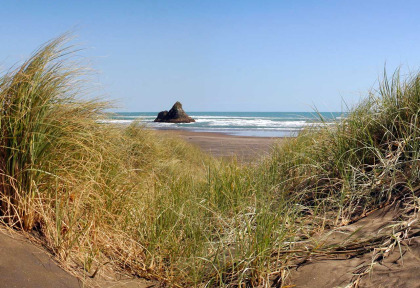 Nouvelle-Zélande - Auckland - Bush and Beach