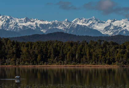 Nouvelle-Zélande - Franz Josef - Okarito Eco Boat Tours