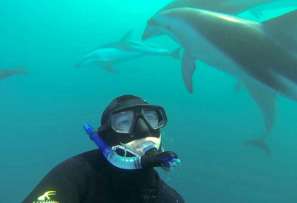 Nouvelle-Zélande - Kaikoura - Nager avec les dauphins