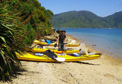 Nouvelle-Zélande - Marlborough Sounds - Demi-journée de kayak dans le Queen Charlotte Sound