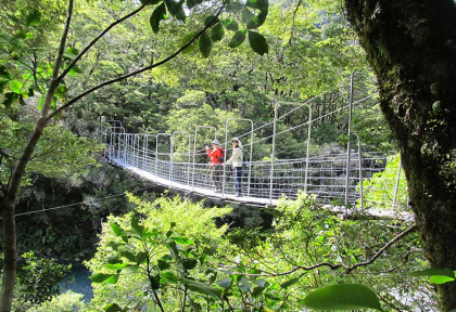 Nouvelle-Zélande - Wanaka - Marches guidées au coeur du Haast Pass