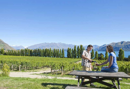 Nouvelle-Zélande - Wanaka - Saveurs et vins fins du Central Otago © Lake Wanaka Tourism