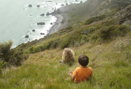 Nouvelle-Zélande - Wellington - Visite de l'île de Kapiti à la journée