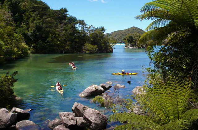 Nouvelle-Zélande - Abel Tasman National Park