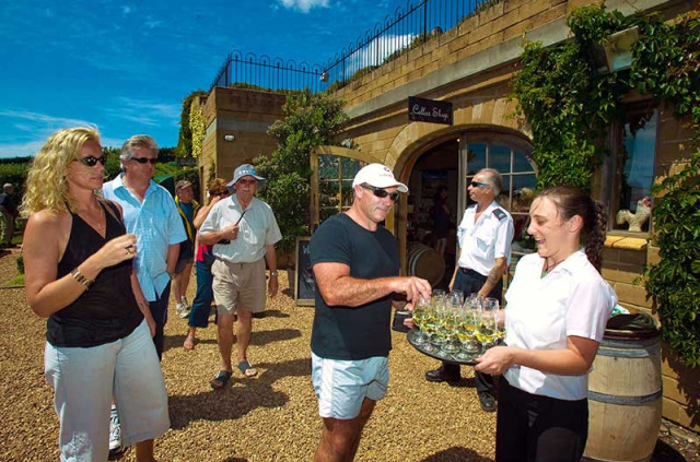 Nouvelle-Zélande - Auckland - Vignobles et oliviers de l'île de Waiheke © Tourism New Zealand, Adrian Malloch