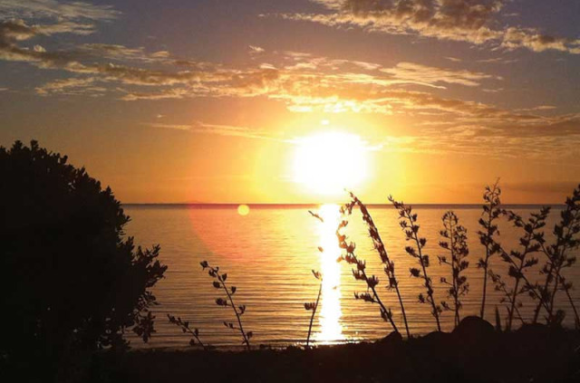 Nouvelle-Zélande - Péninsule de Coromandel