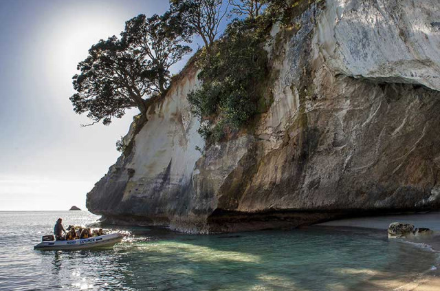 Nouvelle-Zélande - Coromandel - Croisière dans la baie de Mercury