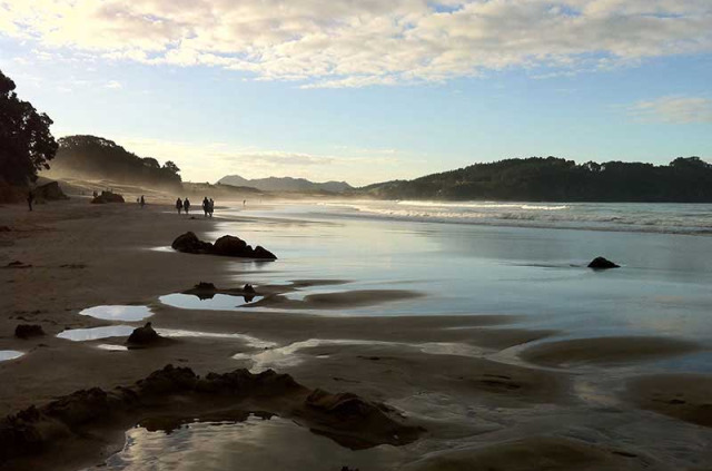 Nouvelle-Zélande - Péninsule de Coromandel