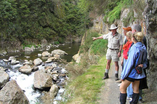 Nouvelle-Zélande - Coromandel - Toutes les facettes de Coromandel en petit groupe