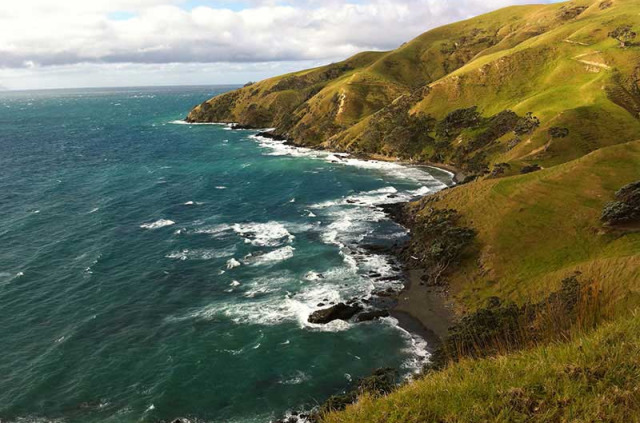 Nouvelle-Zélande - Coromandel - Coucher de soleil sur la côte sauvage du Nord de Coromandel