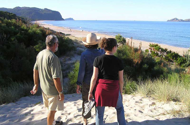 Nouvelle-Zélande - Coromandel - Randonnée guidée sauvage dans la Forêt - Coromandel