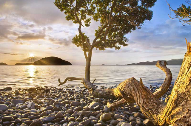 Nouvelle-Zélande - Péninsule de Coromandel