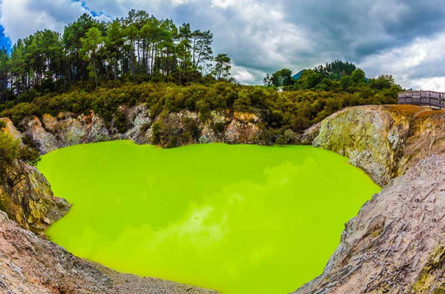 Nouvelle-Zélande - Ile du Nord - Auckland © Shutterstock - Kavram