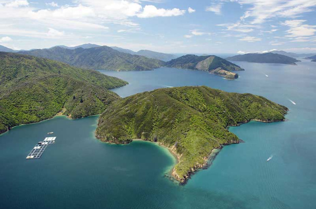 Nouvelle-Zélande - Marlborough Sounds