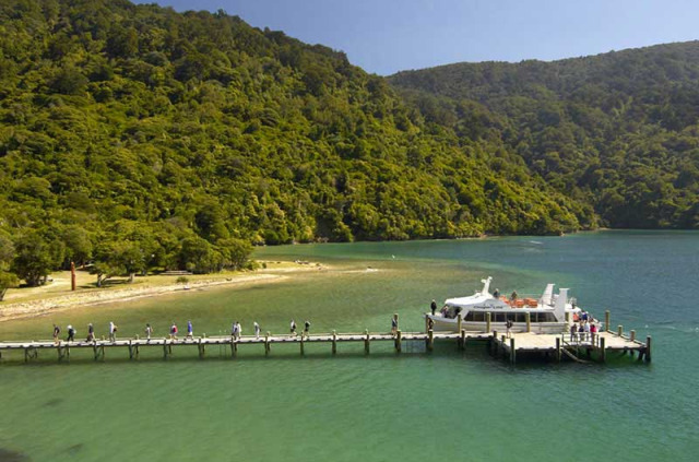 Nouvelle-Zélande - Marlborough Sounds - Randonnée libre de 11 km sur la Queen Charlotte Track