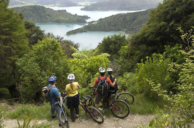 Nouvelle-Zélande - Marlborough Sounds - VTT sur la Queen Charlotte Track