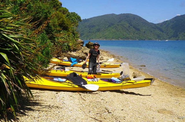 Nouvelle-Zélande - Marlborough Sounds - Demi-journée de kayak dans le Queen Charlotte Sound