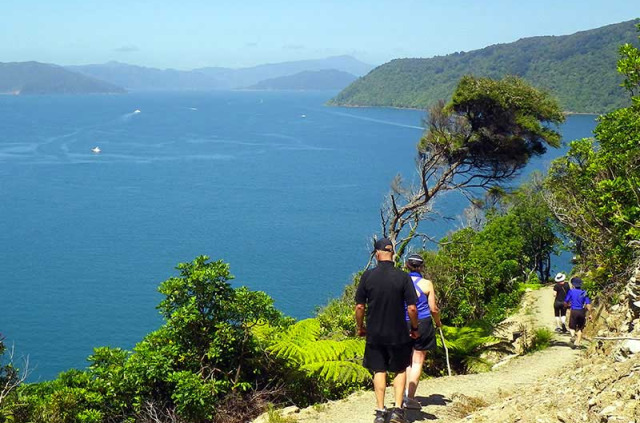 Nouvelle-Zélande - Marlborough Sounds - Aventure guidée sur la Queen Charlotte Track - marche et kayak