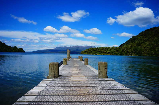 Nouvelle-Zélande - Rotorua - Croisière sur le lac Tarawera et marche dans la forêt pluviale