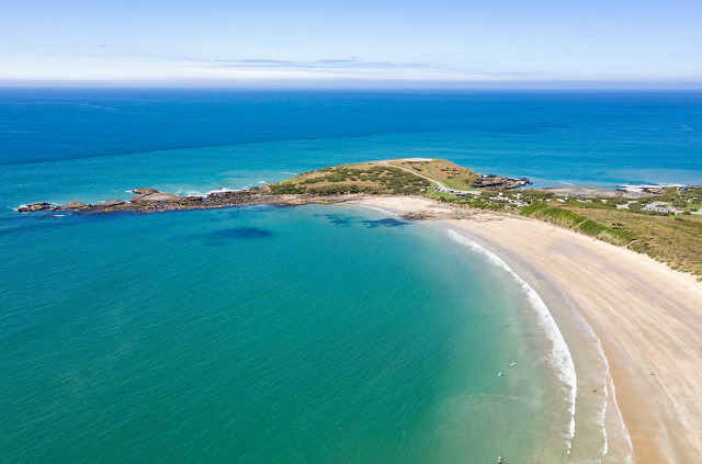 Nouvelle-Zlande - Southland - Catlins - Curio Bay - Cheeky Kiwi Travel © Chris Mclennan