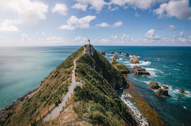 Nouvelle-Zlande - Southland - Catlins - Nugget Point - Cheeky Kiwi Travel © Liz Carlson