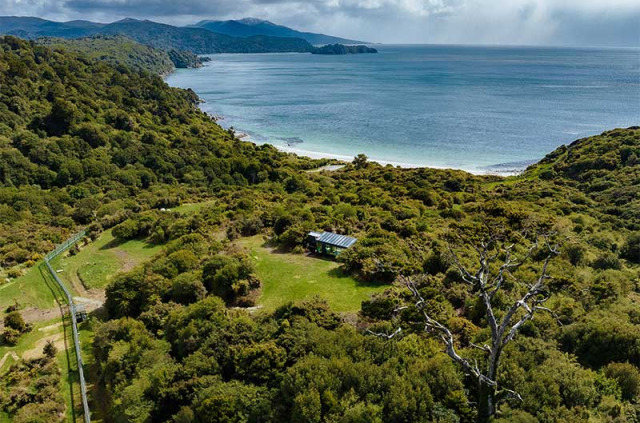 Nouvelle-Zélande - Stewart Island - Hananui Purepod ©Matt Finch