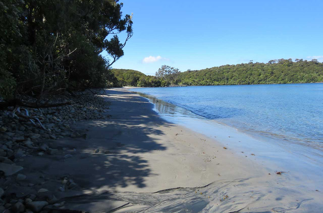 Nouvelle-Zélande - Stewart Island - Rakiua Great Walk © Ruggedy Ranges