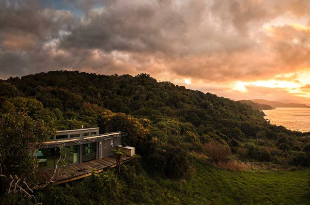 Nouvelle-Zélande - Stewart Island - Tokoeka Purepod ©Paul Wilson