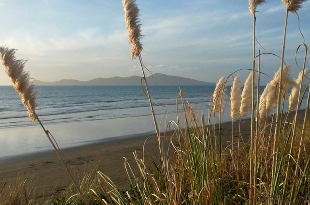 Nouvelle-Zélande - Wellington - Explorez la Kapiti Coast à la journée