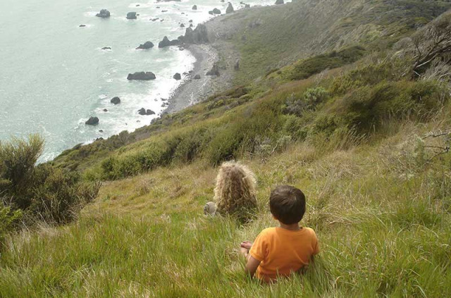 Nouvelle-Zélande - Wellington - Visite de l'île de Kapiti à la journée